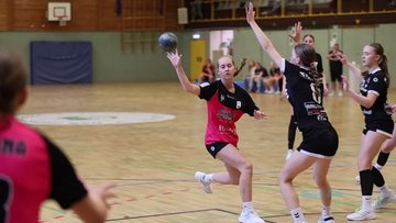 Bild 2 - Videos